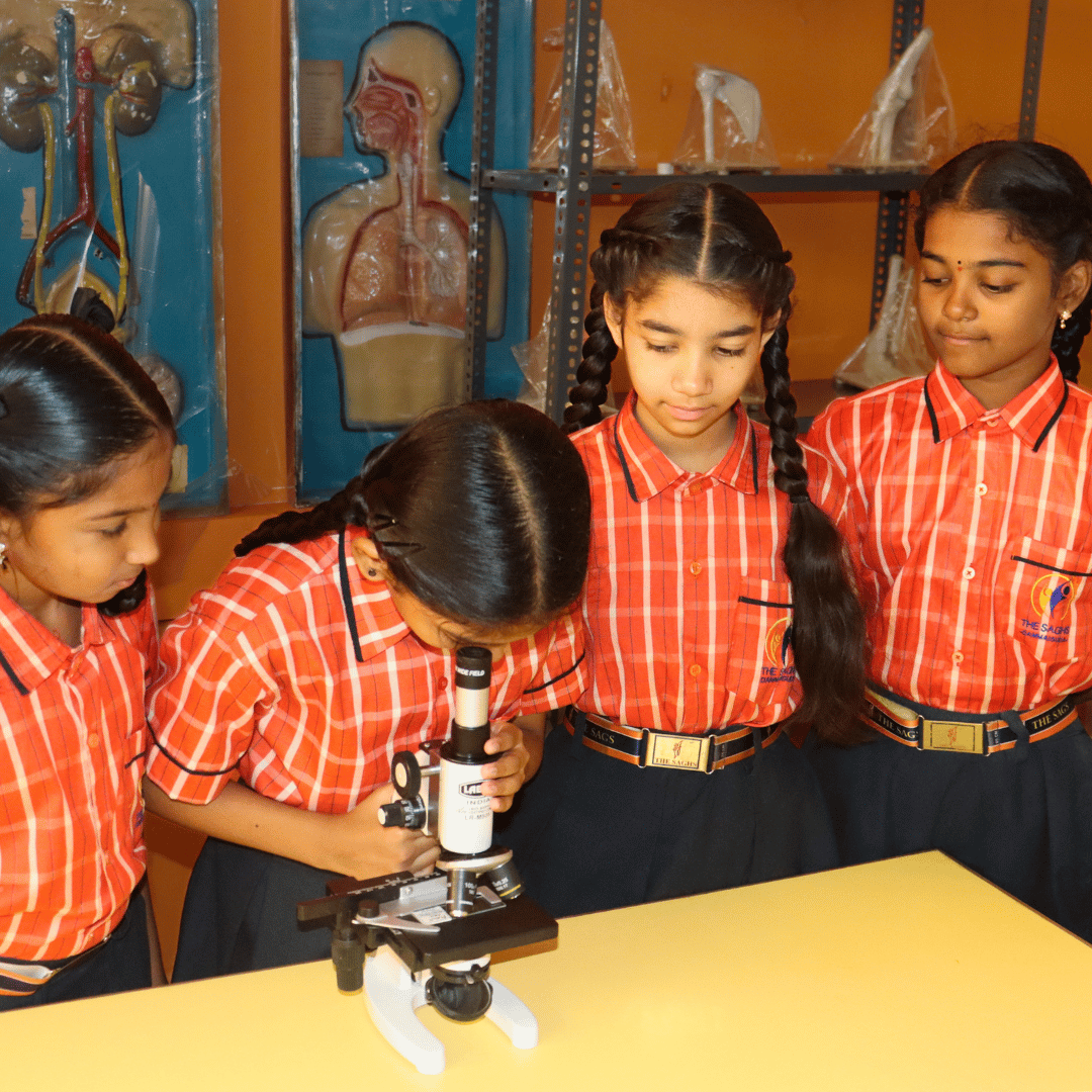 Primary School