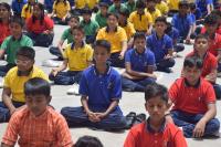 International Yoga Day Celebrations - 2025 Photo Galleries